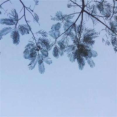 诸子百家九游版下载